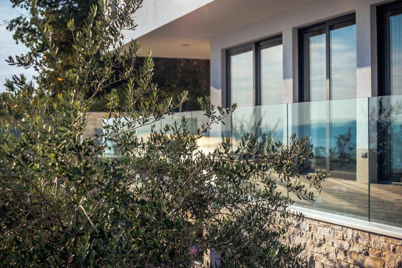 Villa Dispet With Heated Pool, Jacuzzi, Sauna And Cinema Celina Eksteriør billede